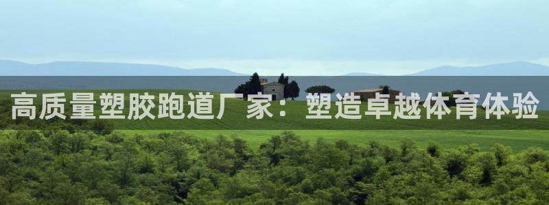 红足1世手机版下载：高质量塑胶跑道厂家：塑造卓越体育体验