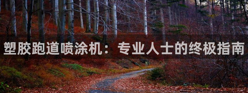 红足一1世比分网：塑胶跑道喷涂机：专业人士的终极指南