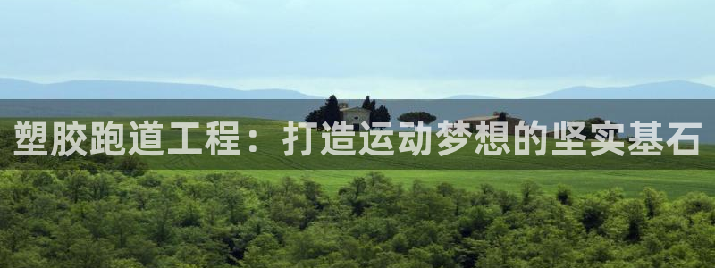 红足一一世：塑胶跑道工程：打造运动梦想的坚实基石