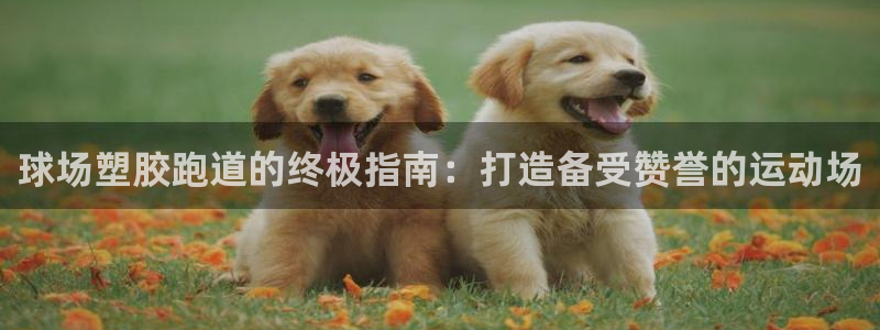 红足1世足球:球场塑胶跑道的终极指南:打造备受赞誉的运动场