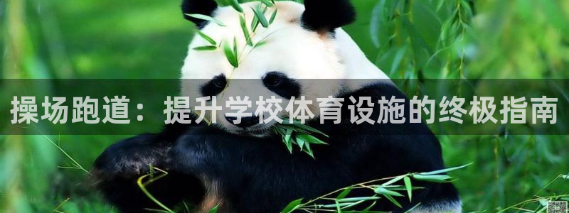 红足1一世足球手机:操场跑道:提升学校体育设施的终极指南