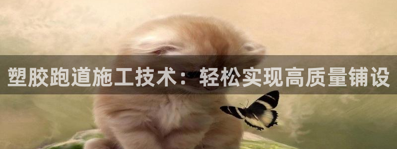 红足1世手足球比分：塑胶跑道施工技术：轻松实现高质量铺设