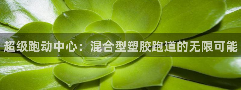 红足1世足球网址：超级跑动中心：混合型塑胶跑道的无限可能