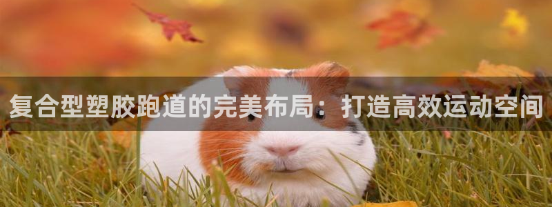 红足1世1站2站管理网：复合型塑胶跑道的完美布局：打造高效运动空间