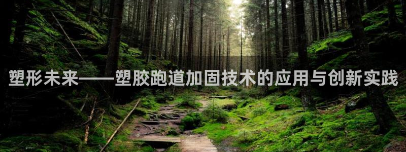 666814红·足一世比分：塑形未来——塑胶跑道加固技术的应用与创新实践