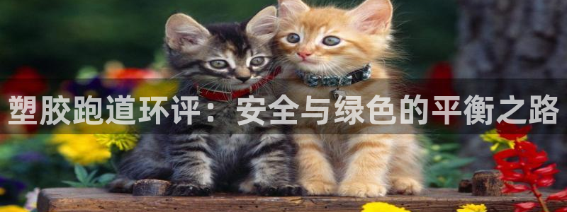 红足1世足球比分：塑胶跑道环评：安全与绿色的平衡之路