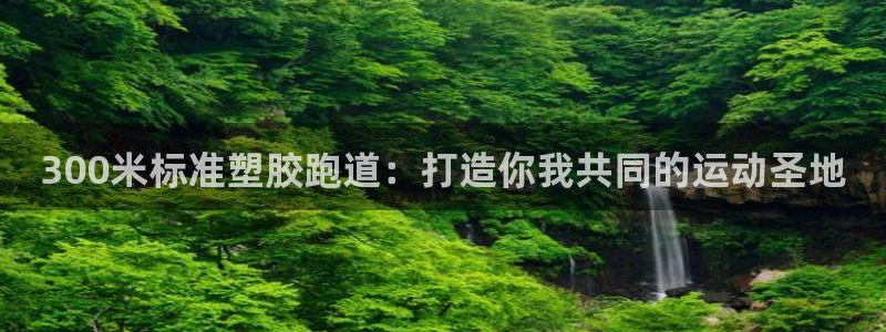 红足一丰：300米标准塑胶跑道：打造你我共同的运动圣地