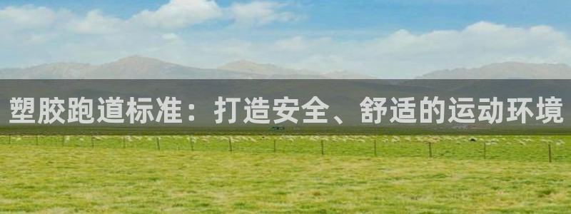 红足1世1站：塑胶跑道标准：打造安全、舒适的运动环境