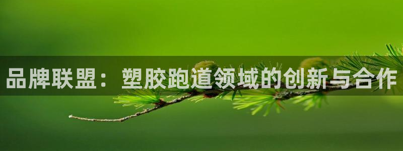 红足一一世：品牌联盟：塑胶跑道领域的创新与合作