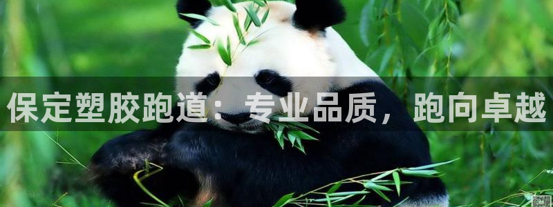 777814红·足一世比分篮球:保定塑胶跑道:专业品质,跑向卓越