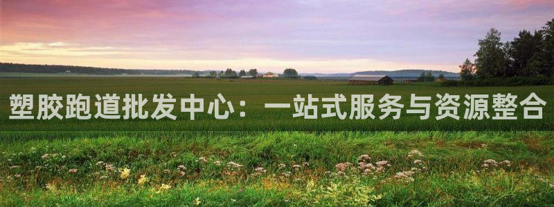 新2足球平台出租网站：塑胶跑道批发中心：一站式服务与资源整合