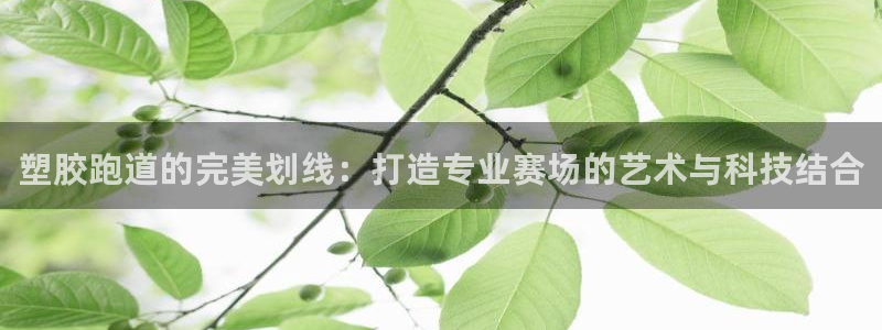 百度红足一1视频在线观看：塑胶跑道的完美划线：打造专业赛场的艺术与科技结合