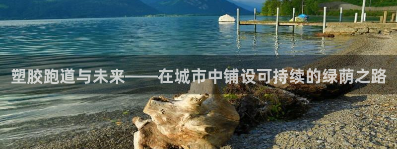 红足1世开奖预测：塑胶跑道与未来——在城市中铺设可持续的绿荫之路
