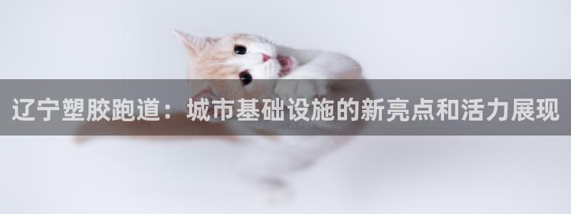 红足1世官网：辽宁塑胶跑道：城市基础设施的新亮点和活力展现