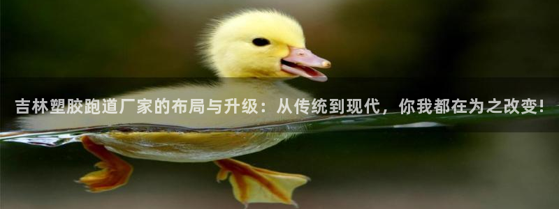 红足一1世比分球探：吉林塑胶跑道厂家的布局与升级：从传统到现代，你我都在为之改变!