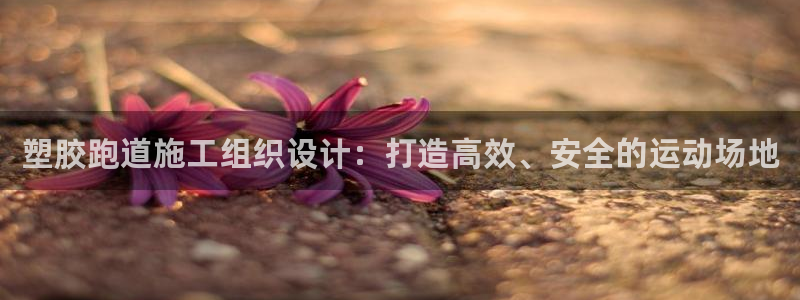 红足一生世：塑胶跑道施工组织设计：打造高效、安全的运动场地