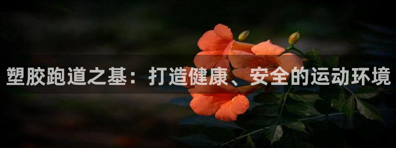 红足一1世开奖记录：塑胶跑道之基：打造健康、安全的运动环境