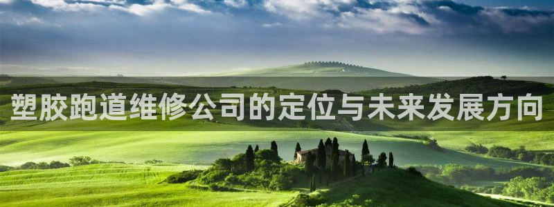 红足一1世66814：塑胶跑道维修公司的定位与未来发展方向