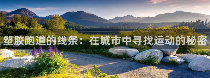 红足1一世红：塑胶跑道的线条：在城市中寻找运动的秘密