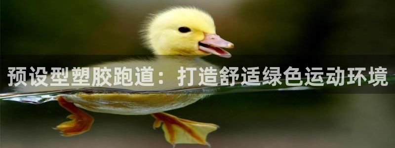 百度红足一1是为什么：预设型塑胶跑道：打造舒适绿色运动环境