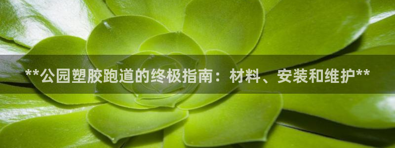 红世一足球比分：**公园塑胶跑道的终极指南：材料、安装和维护**