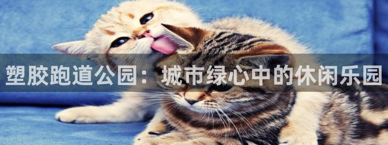 777814红·足一世:塑胶跑道公园:城市绿心中的休闲乐园