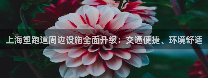 红足1世1站：上海塑跑道周边设施全面升级：交通便捷、环境舒适