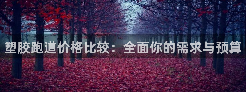 红足一：塑胶跑道价格比较：全面你的需求与预算