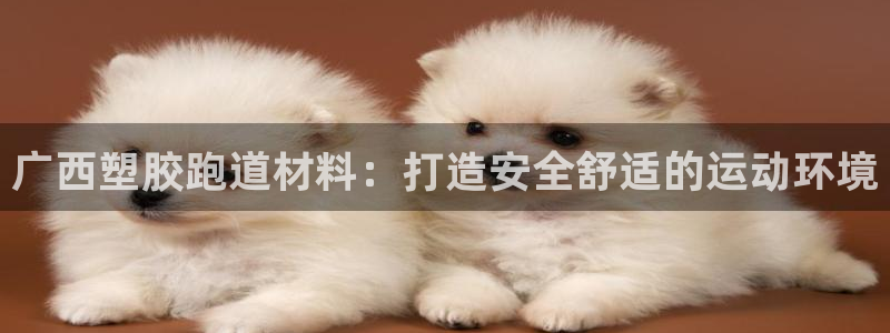 红足一一世足球网开奖记录：广西塑胶跑道材料：打造安全舒适的运动环境