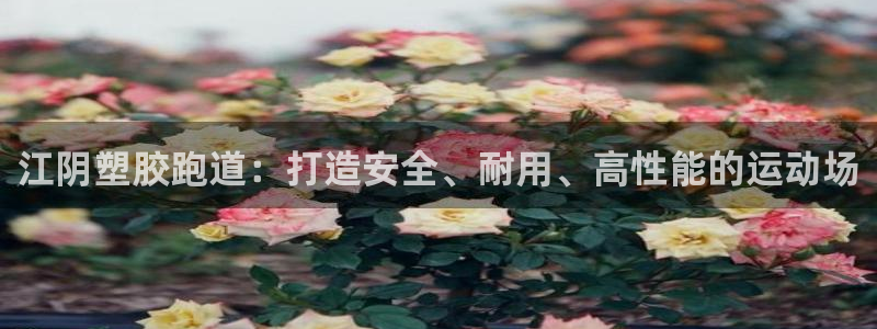 红足一1世666814足球比分网：江阴塑胶跑道：打造安全、耐用、高性能的运动场