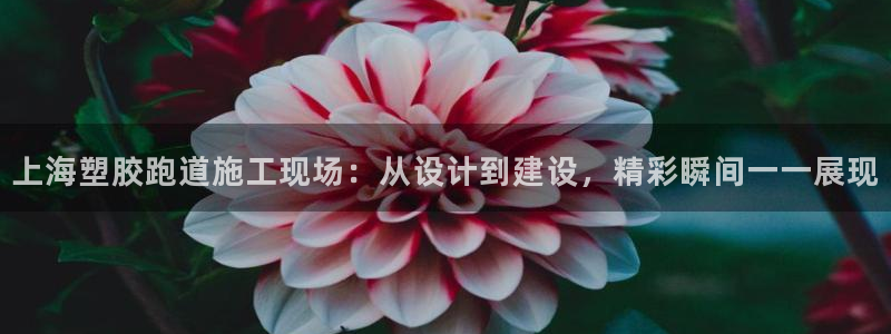 红足一1世官网：上海塑胶跑道施工现场：从设计到建设，精彩瞬间一一展现