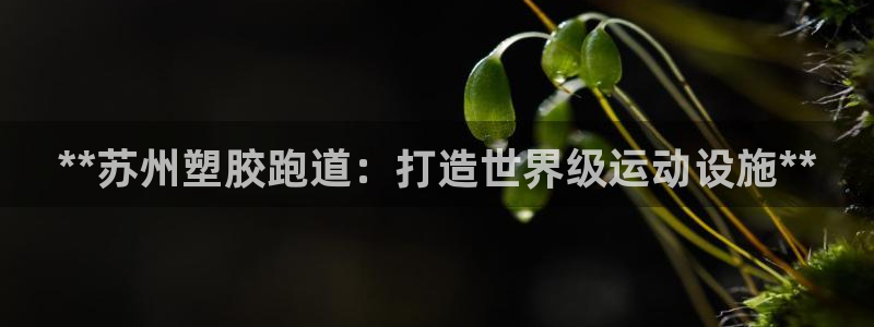 4633333开奖结果4176一点红:**苏州塑胶跑道:打造世界级运动设施**