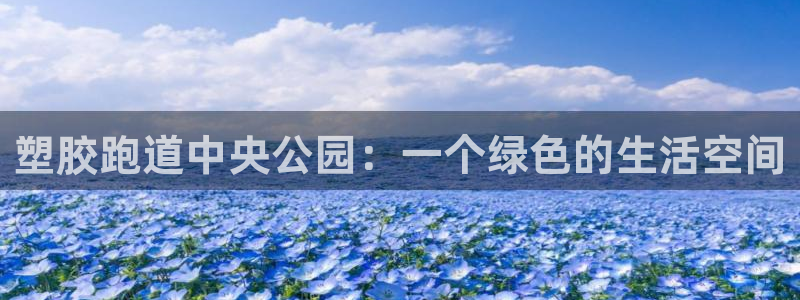 红足1世足球：塑胶跑道中央公园：一个绿色的生活空间