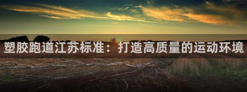 红足一1世平台:塑胶跑道江苏标准:打造高质量的运动环境