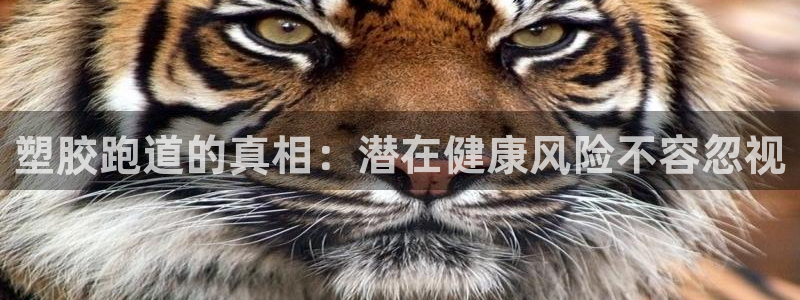 新2足球平台出租网站：塑胶跑道的真相：潜在健康风险不容忽视