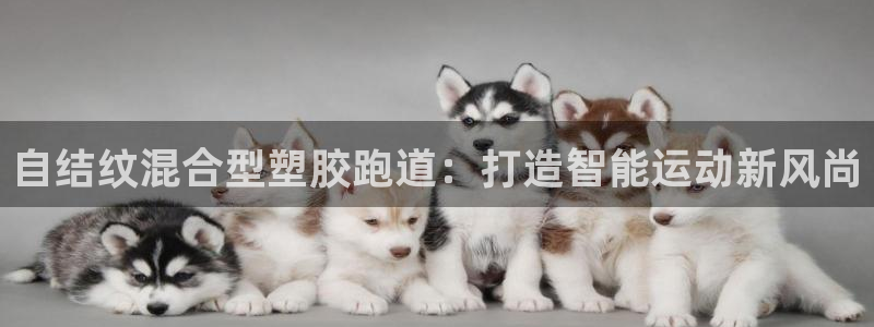 红足1世足球比分:自结纹混合型塑胶跑道:打造智能运动新风尚