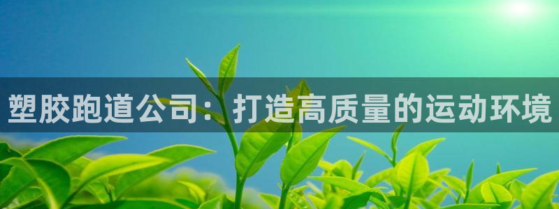 红足1世1站2站管理网：塑胶跑道公司：打造高质量的运动环境