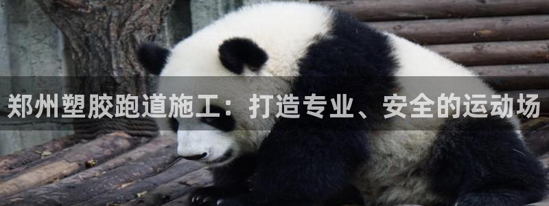 红足网足球直播:郑州塑胶跑道施工:打造专业、安全的运动场
