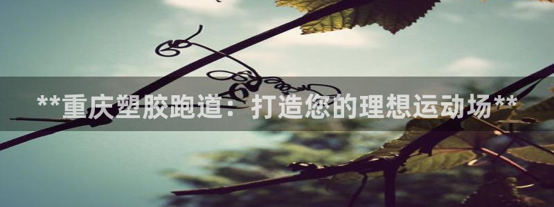 红足一1世开奖记录：**重庆塑胶跑道：打造您的理想运动场**