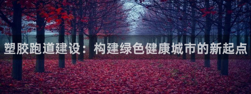 红足一1世手机版赛果：塑胶跑道建设：构建绿色健康城市的新起点