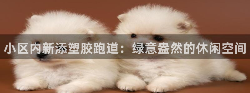 红足一1世666814足球比分网：小区内新添塑胶跑道：绿意盎然的休闲空间