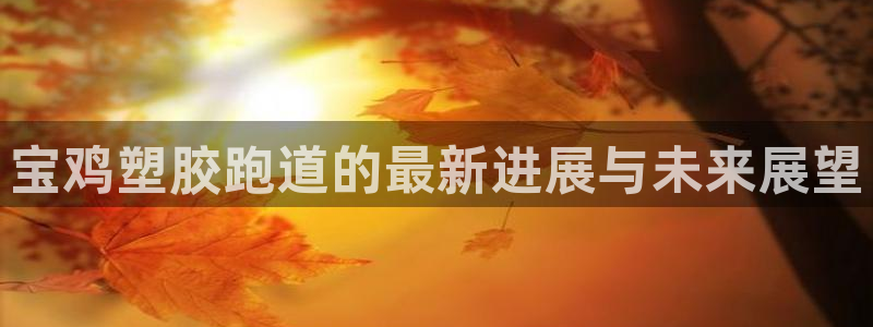 红足1世官网：宝鸡塑胶跑道的最新进展与未来展望