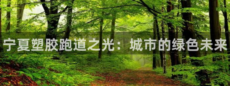 红足足球网:宁夏塑胶跑道之光:城市的绿色未来