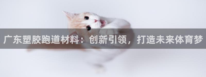 红足一1世手机皇冠：广东塑胶跑道材料：创新引领，打造未来体育梦