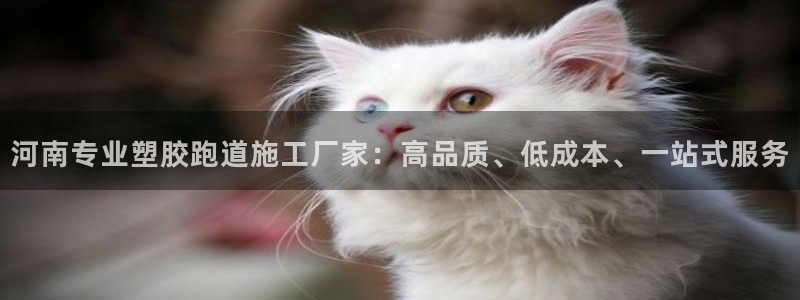 红足网足球直播：河南专业塑胶跑道施工厂家：高品质、低成本、一站式服务