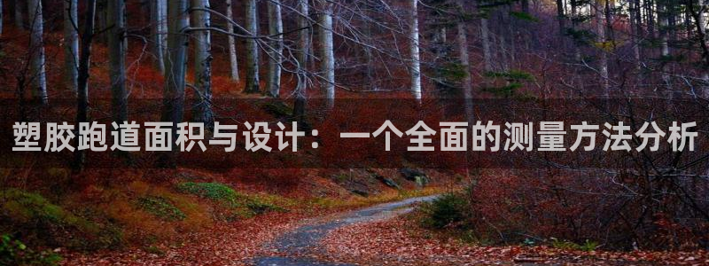 红足一1世比分：塑胶跑道面积与设计：一个全面的测量方法分析