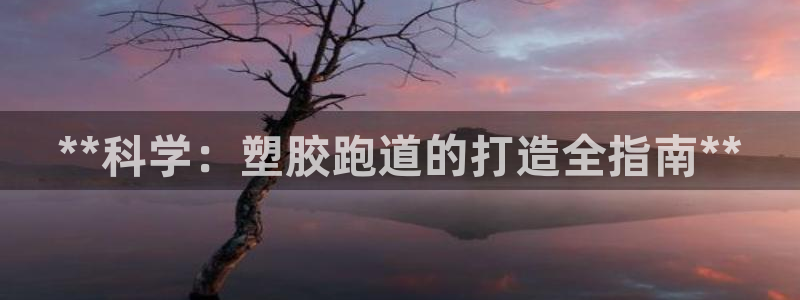 红足1世1站2站管理网：**科学：塑胶跑道的打造全指南**
