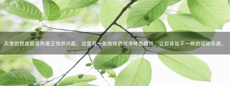 红足1世足球网址大全：天津的塑胶跑道热潮正悄然兴起，这里有一条独特的城市特色路线，让你体验不一样的运动乐趣。