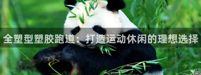 红足一1世666814足球：全塑型塑胶跑道：打造运动休闲的理想选择