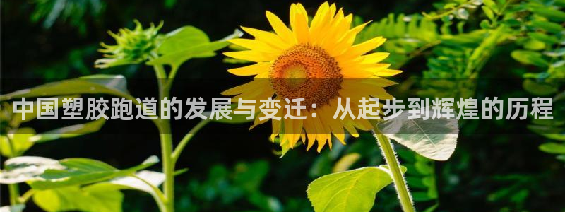 红足1世手机下载：中国塑胶跑道的发展与变迁：从起步到辉煌的历程